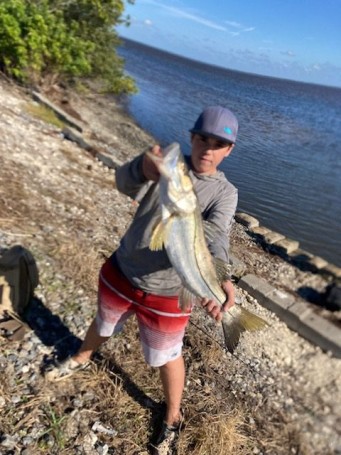 Beautiful snook