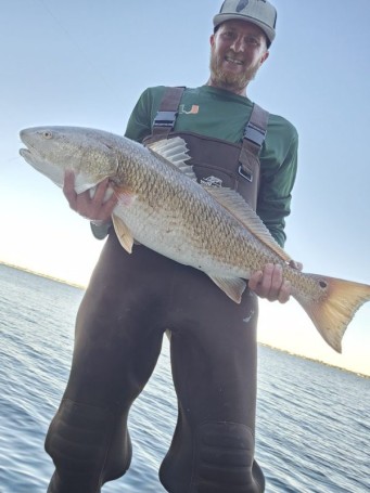 Sunset Reds