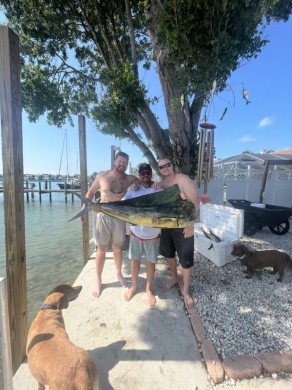 Mahi in Ft. Pierce
