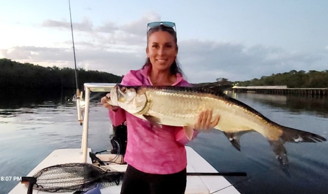 Last light Tarpon