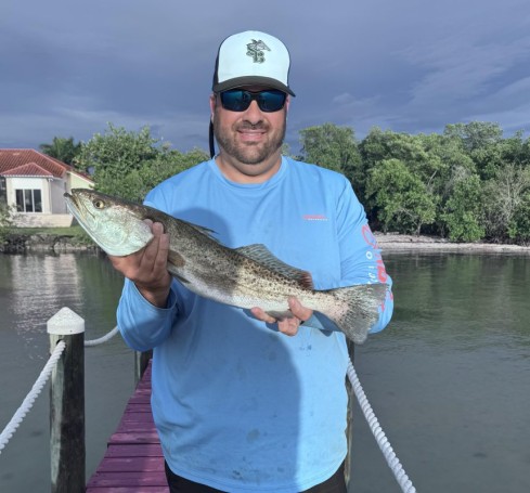 Dockside Trout