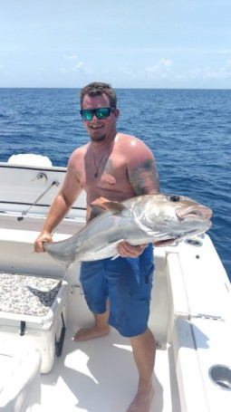 Reef Donkey
