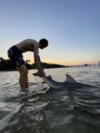 Big baits and Bulls