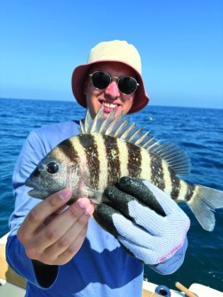 First time fisherman Micah McDaniel was happy w/ his sheepshead while fishing in the Gulf, out of Naples.