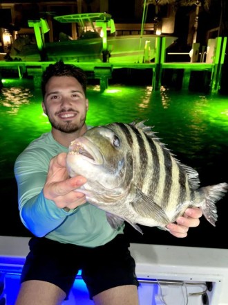 MONSTER South Florida Sheepshead