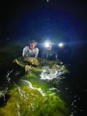 12yo Dylan caught this monster-to-be on his famous “last cast” of the night on 30# tackle!