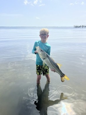 Sebastian Snook