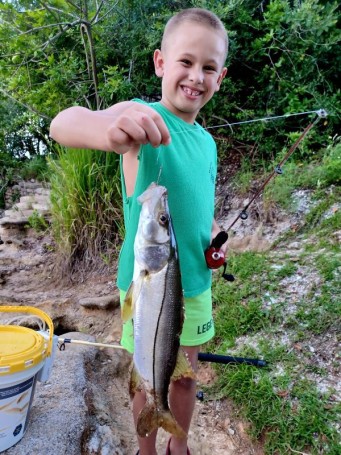 Haulover Canal Snook