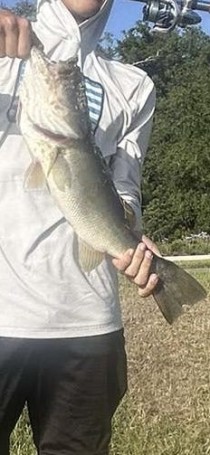 not a bad bass