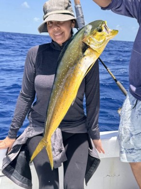 Mahi
