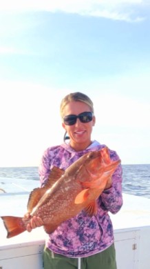 Strawberry Grouper