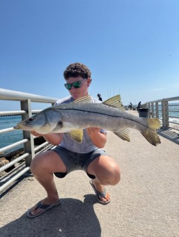 Snook off the Pier