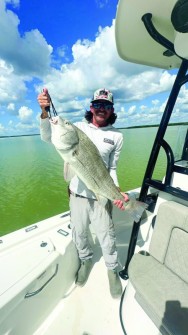 Matt Shields - Drum roll please…Giant black drum in the shallows! Everglades City.