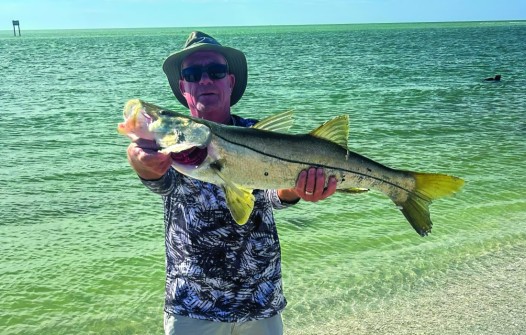 Scott Weed caught this 33” beautiful snook and released it in Bonita Springs, thought it would be the right thing to do.
