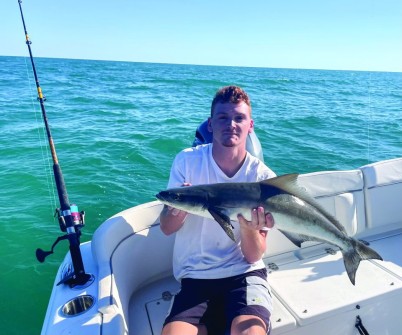 Tyler Madison caught this 36” cobia off Boca Grande.