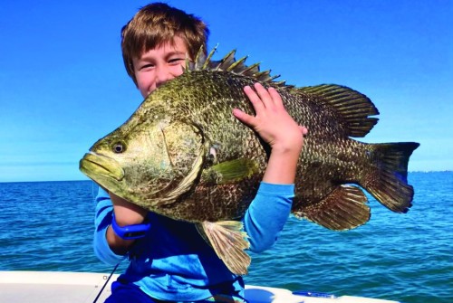 Hank Belligan, age 9 with a Big Triple Tail he caught on shrimp off shore.