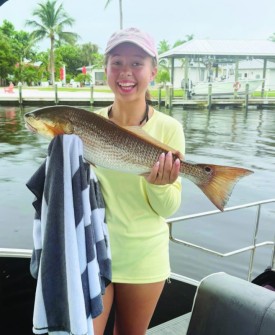 Ava Murphy caught this 27” redfish in Pine Island w/ live shrimp, fishing w/ her uncle.