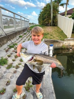 Brody Sturgeon, age 10, landed this 37” snook from the Cape Coral canals.