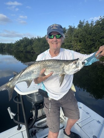 Tarpon in the mangroves