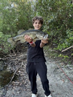 Pb bass