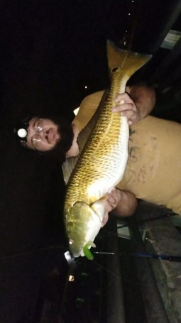 Redfish