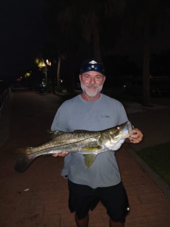 Snook