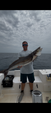 Holy Cobia