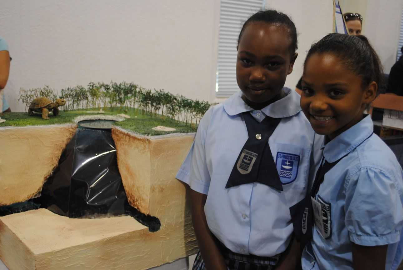 Friends of Environ-pg3-sawmill sink | Coastal Angler & The Angler Magazine