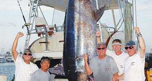 1119lb_marlin