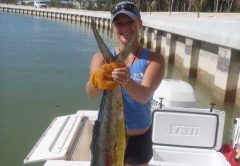 Abaco Bahamas offshore fishing forecast