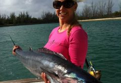Bimini Bahamas offshore fishing forecast