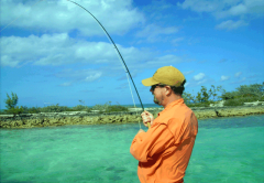 Bahamas bonefishing