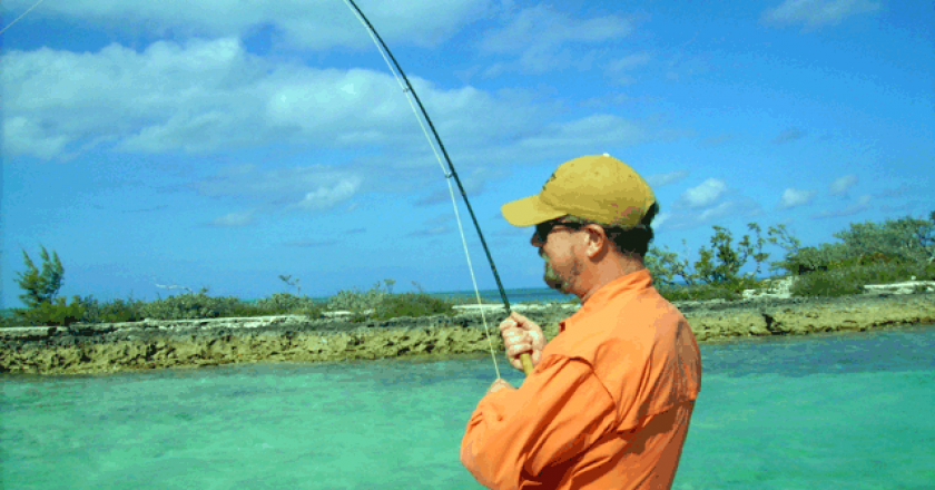 Bahamas bonefishing