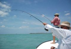 Nassau Bahamas inshore fishing
