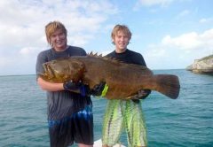 North Eleuethera Bahamas fishing forecast