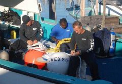 Grand Bahama diving news