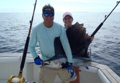 A Bimini sailfish photo