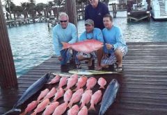 Yellow eye snapper on the docks of Old Bahama Bay photo