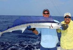 kona_apr