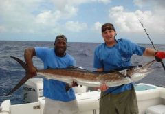 South Eleuthera wahoo photo