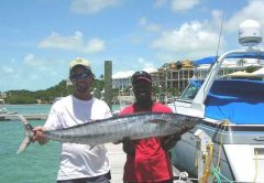 Exuma wahoo photo