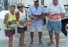 Fish on an Abaco dock photo