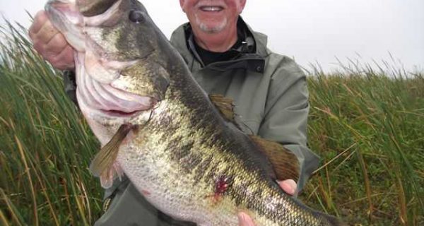 Okeechobee bass photo