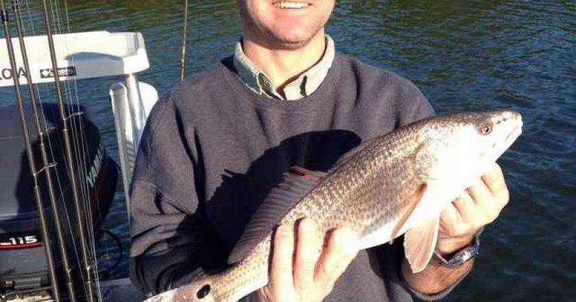 Redfish caught in the Indian River photo