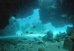 Photo of Abaco divesite 'The Tunnels