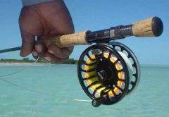 saltwater fly fishing tips