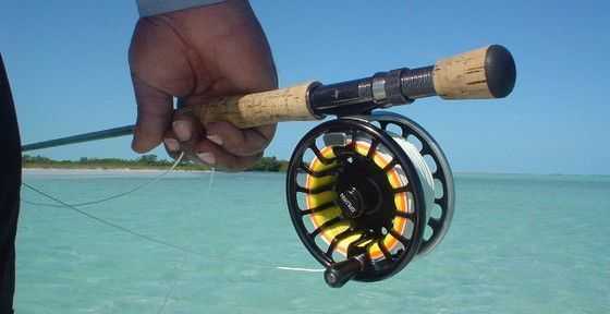 saltwater fly fishing tips