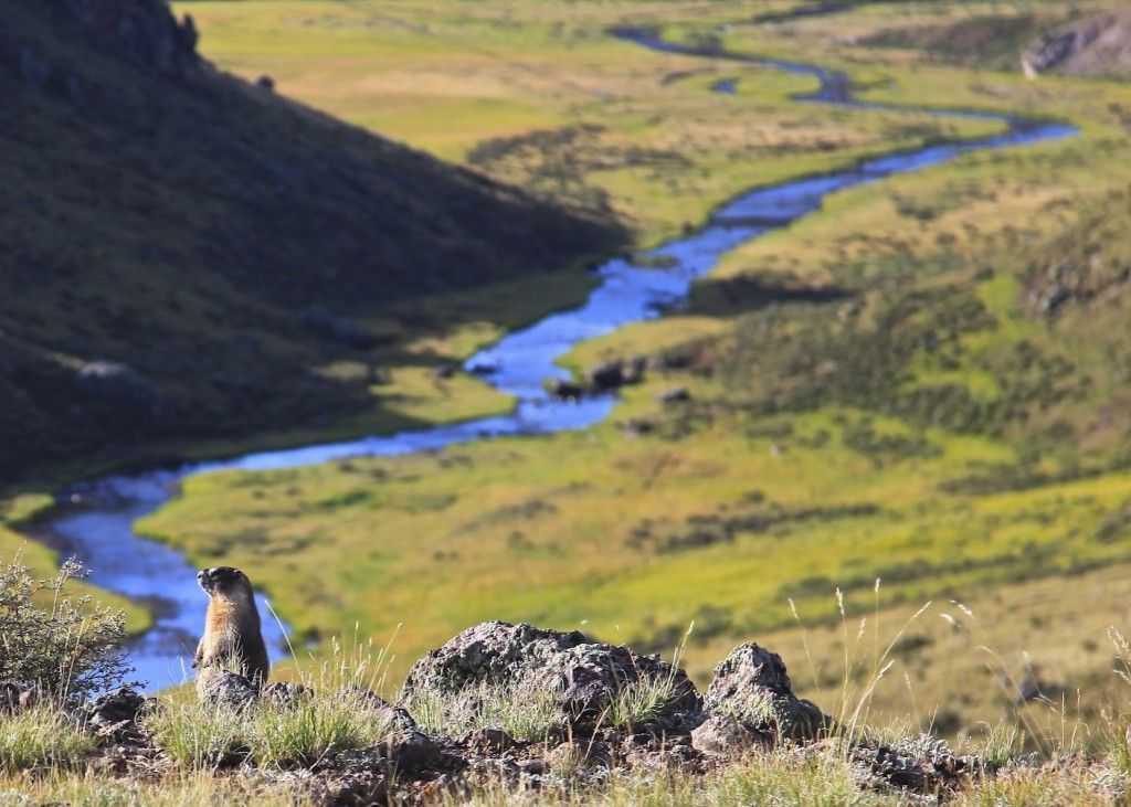  Fishing the Brazos River and Mountain Lakes of Chama Coastal Angler 