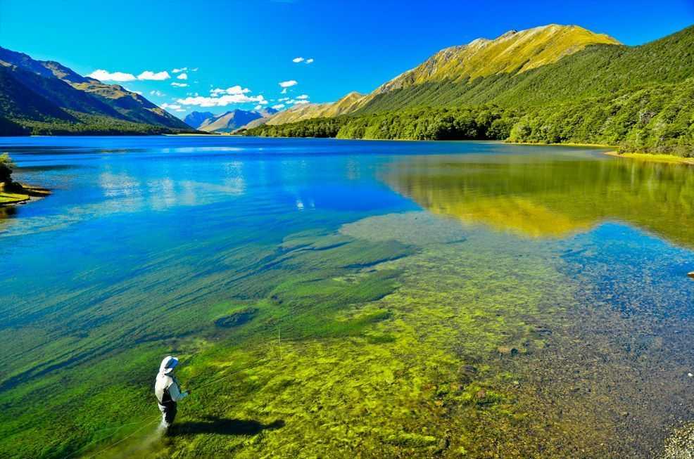 Learn To Fly Fish, New Zealand