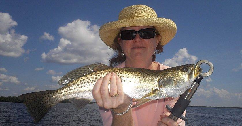 Pat Shannon of Lakeland shows off her 20" speckled Sea trout that was caught in Crystal River.
